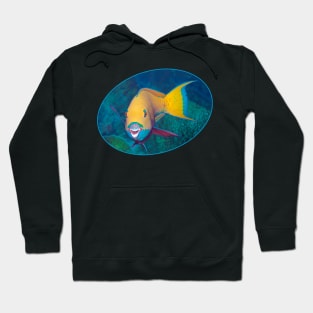 Parrotfish | Am I beautiful? | Hoodie